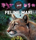 Feline mari (ochelari 3D inclusi)/***, Kreativ