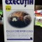 URMATORUL PAS: EXECUTIA - AUTOBIOGRAFIA LUI OLEG GORDIEVSKI