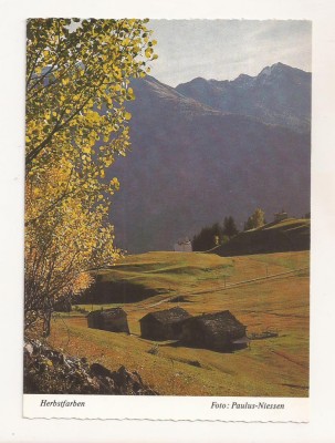 FA70-Carte Postala-GERMANIA- Herbstfarben, Selva im Puschlav, circulata 1984 foto