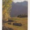 FA70-Carte Postala-GERMANIA- Herbstfarben, Selva im Puschlav, circulata 1984