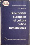 SINCRONISM EUROPEAN SI CULTURA CRITICA ROMANEASCA-ILIE BADESCU-351068