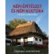 N&eacute;pi &eacute;p&iacute;t&eacute;szet &eacute;s n&eacute;pi kult&uacute;ra a K&aacute;rp&aacute;t-medenc&eacute;ben - Fucsk&aacute;r &Aacute;gnes