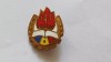 Insigna Romania- Pionier