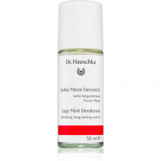 Dr. Hauschka Body Care deodorant cu salvie si menta 50 ml