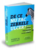 De ce nu fac zebrele ulcer? - Paperback brosat - Robert M. Sapolsky - Publica