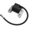Aprindere Briggs&amp;Stratton 802574