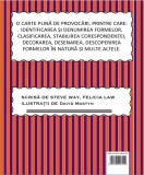 Matemagia - Forme. Cum sa le construiesti | Felicia Law, Steve Way, Didactica Publishing House