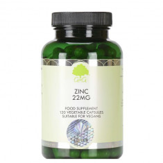 Zinc 22mg 120cps G&G