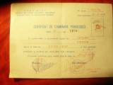 Certificat de Examinare Psihologica pt. Scoala de Soferi 1981 Bucuresti