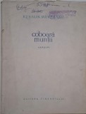 Coboara muntii (Versuri) - Rusalin Muresanu - Carte Poezie Beletristica