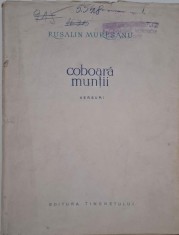 Coboara muntii (Versuri) - Rusalin Muresanu