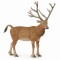 Figurina cerb pere david l collecta