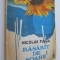 Rasarit de soare - Nicolae Fulga