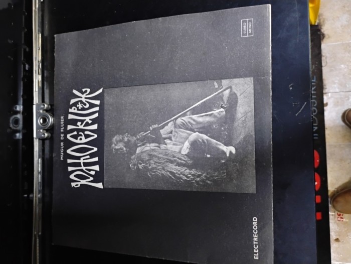 Phoenix. Mugur de fluier