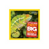Little Kids First Big Book of Reptiles and Amphibians