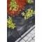 Foto  - 2
