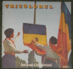 vinyl Tricolorul - Corul de copii al Radioteleviziunii ?disc NM-,foarte rar foto