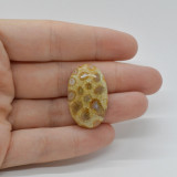 Cabochon coral fosilic 29x18x6mm c32, Stonemania Bijou