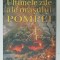 ULTIMELE ZILE ALE ORASULUI POMPEI de EDWARD BULWER - LYTTON , 2023