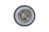 NRF 725131 EASY FIT termostat,lichid racire