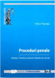 Voicu Puscasu - Proceduri Penale. Sinteze. Practica Judiciara. Modele de Minute