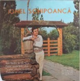 Vinil Ionel Schipoanca - Sunt Flacau De Pe Siret (Electrecord, 1975) LP Muzica Populara Romaneasca 18cm