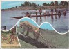 Bnk cp RD Congo - Vedere - circulata, Printata