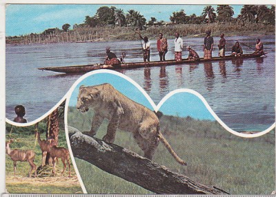bnk cp RD Congo - Vedere - circulata foto