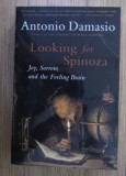 Antonio R. Damasio - In cautarea lui Spinoza (in engleza)