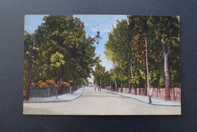 20ADE - Vedere - Carte postala - Pucioasa - Bulevardul foto