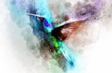 Fototapet Abstract Colibri Acuarela, Vinilic Panza Canvas, Adeziv Inclus, Decoratiuni Casa, Usor de Montat