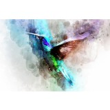 Fototapet Abstract Colibri