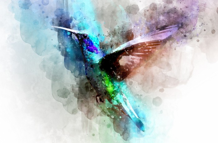 Fototapet Abstract Colibri