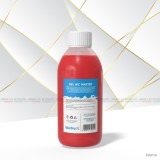 Cumpara ieftin Gel WC MASTER, Kg