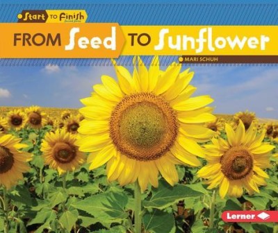 From Seed to Sunflower foto
