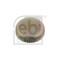 FEBI BILSTEIN 07537 febi Plus Dop antianghet