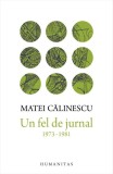 Un fel de jurnal 1973-1981 &ndash; Matei Calinescu - Biografii