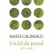 Un fel de jurnal 1973-1981 &ndash; Matei Calinescu