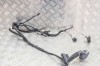 Cablaj ușă dreapta spate TESLA MODEL 3 2019 OEM: 2067966-00-A 12079953