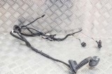 Cablaj ușă dreapta spate TESLA MODEL 3 2019 OEM: 2067966-00-A 12079953