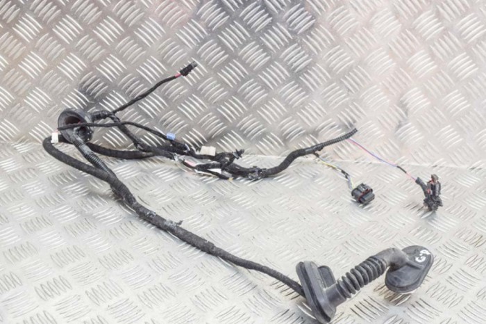 Cablaj ușă dreapta spate TESLA MODEL 3 2019 OEM: 2067966-00-A 12079953