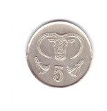 Moneda Cipru 5 cents/centi 1987, stare buna, curata