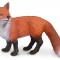 Vulpea Rosie S Collecta