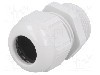 Presetupa poliamida, PG21, IP68, LAPP - 53018050