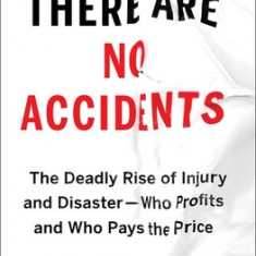 There Are No Accidents: The Deadly Rise of Injury and Disaster--Who Profits and Who Pays the Price