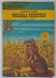 PACALEALA BURSUCULUI de EUGEN JIANU , ILUSTRATII SI COPERTA de ION PANAITESCU , 1976