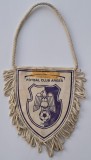 Fanion Fotbal Club Arges Campioana Romaniei