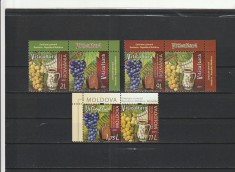 ROMANIA 2021 LP 2347 VITICULTURA EMISIUNE COMUNA ROMANIA-MOLDOVA SERIE CU VINIETA + SERIE MOLDOVA NESTAMPILATE