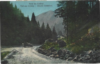 CP778N Parte din Colibița/Teil aus Colibița/R&amp;eacute;szlet Colibiț&amp;aacute;rol, carte poștală circulată Bran &amp;ndash; Făgăraș foto