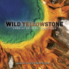 Wild Yellowstone: Land of Geysers and Grizzlies